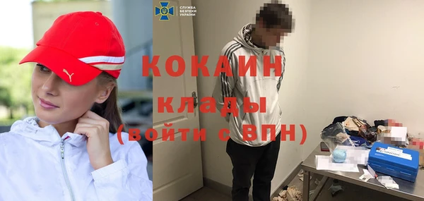 шишки Абинск