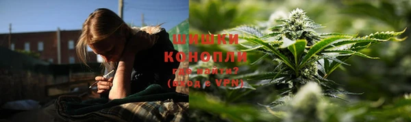 шишки Абинск