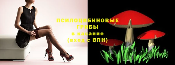 шишки Абинск