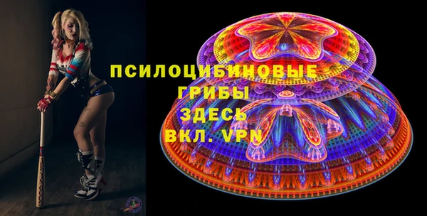 шишки Абинск