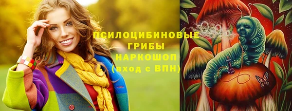 шишки Абинск