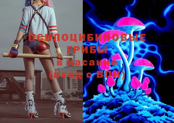 Альфа ПВП Абаза