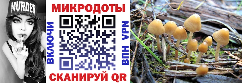 Галлюциногенные грибы мухоморы  Партизанск 
