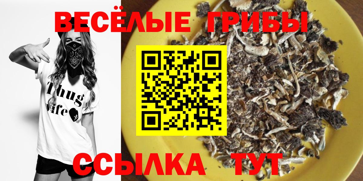 Партизанск  купить  цена  Вход с VPN  Галлюциногенные грибы MAGIC MUSHROOMS  Псилоцибиновые грибы MAGIC MUSHROOMS 