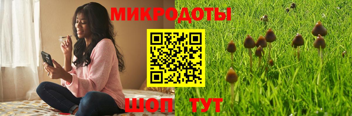 Галлюциногенные грибы Cubensis Партизанск